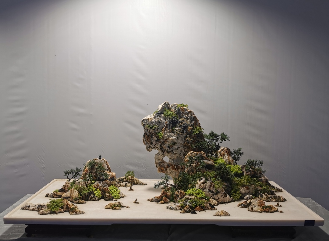 山东省盆景艺术大师牟军华山水盆景作品
