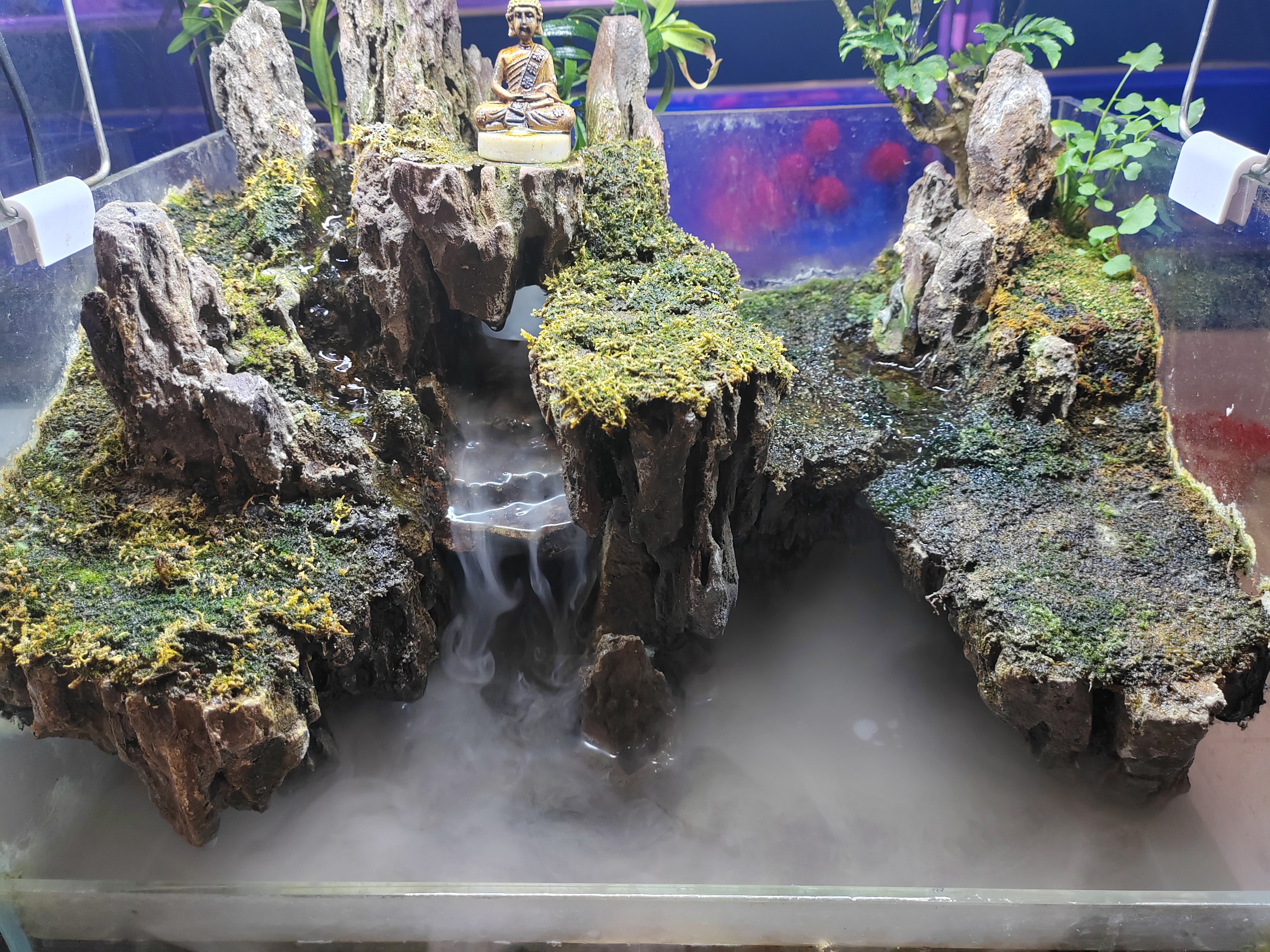 造景鱼缸造景山水环抱加文昌塔图片龙脊石造景水藻铺满假山源之域造景