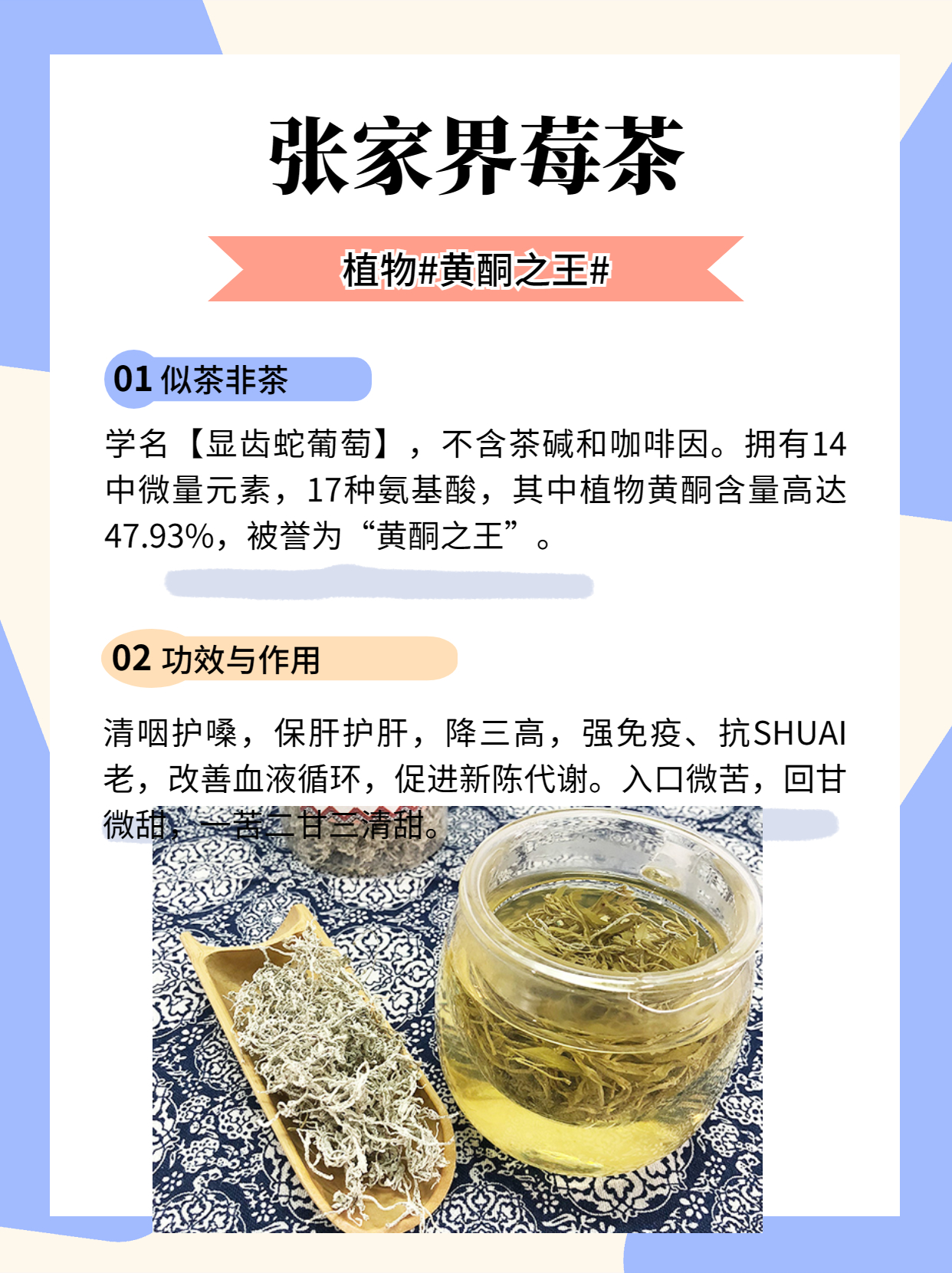 张家界地区独有的山珍 莓茶 92