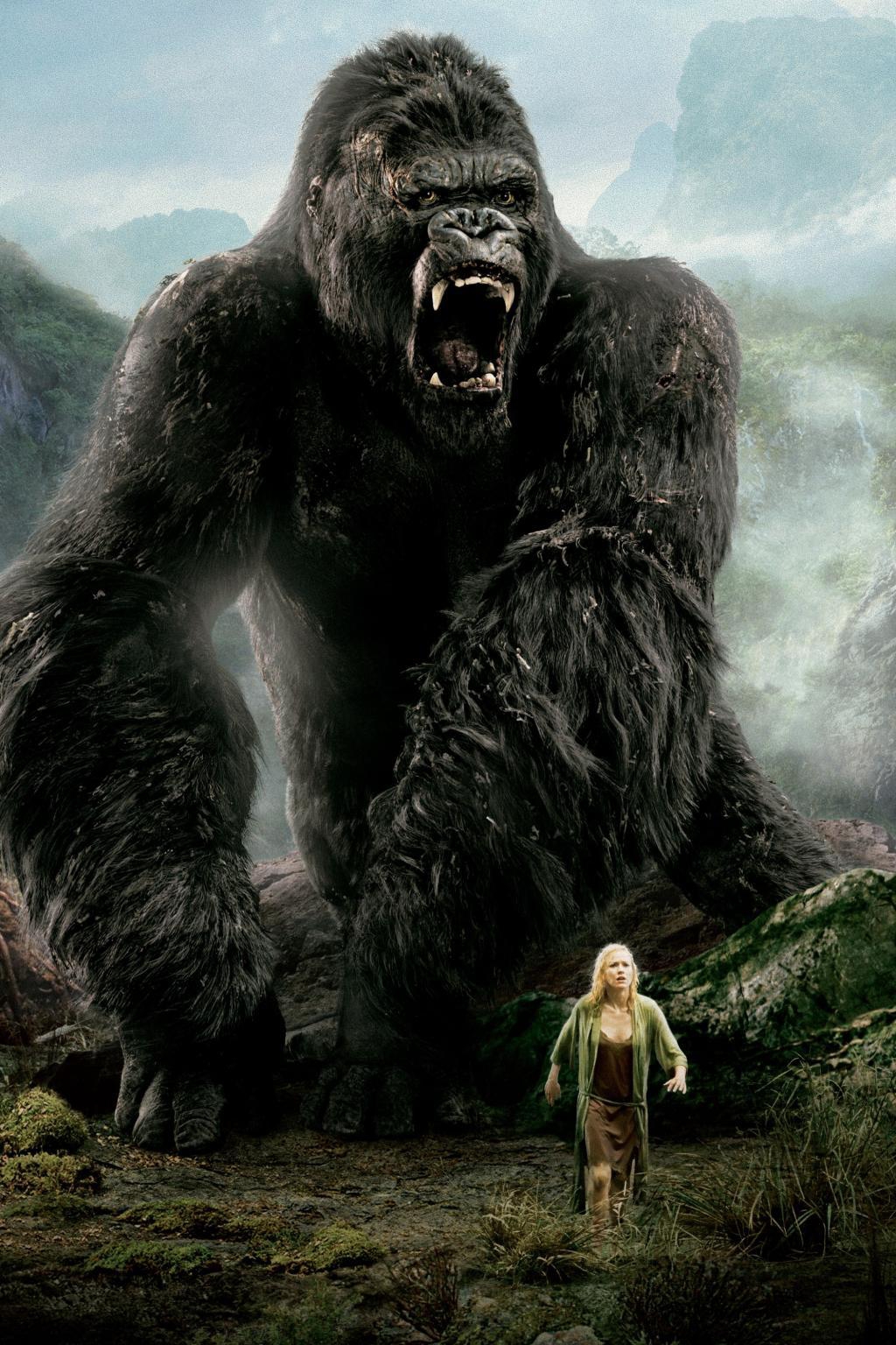 人类祖先之有毛发的金刚 金刚这只大猩猩因为有电影《金刚》的传播而