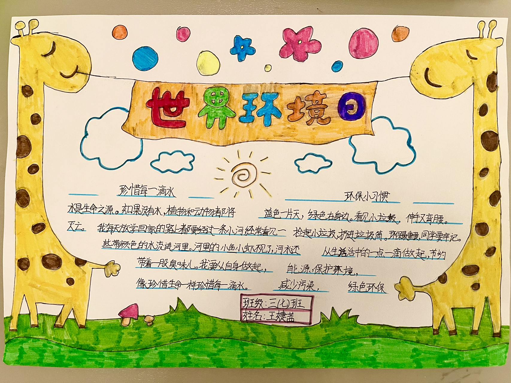 世界环境日手抄报