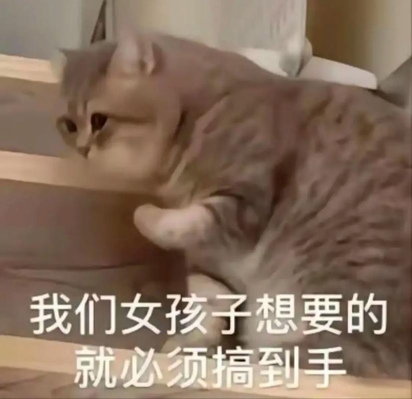 一个男生说:女孩子想要的必须搞到手.另一个男生说:我同意. !