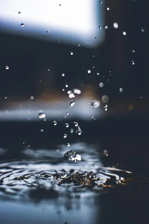这场雨 下了很久很久 滴滴答答的雨滴声 惊扰了我尘封已久的忧愁 是