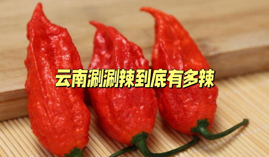 它不仅是辣椒爱好者的挑战对象,更是美食探险家们的终极目标.