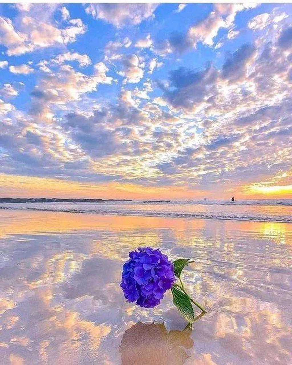 我们醒来的第一件事,就是向这美好的一天致以问候.