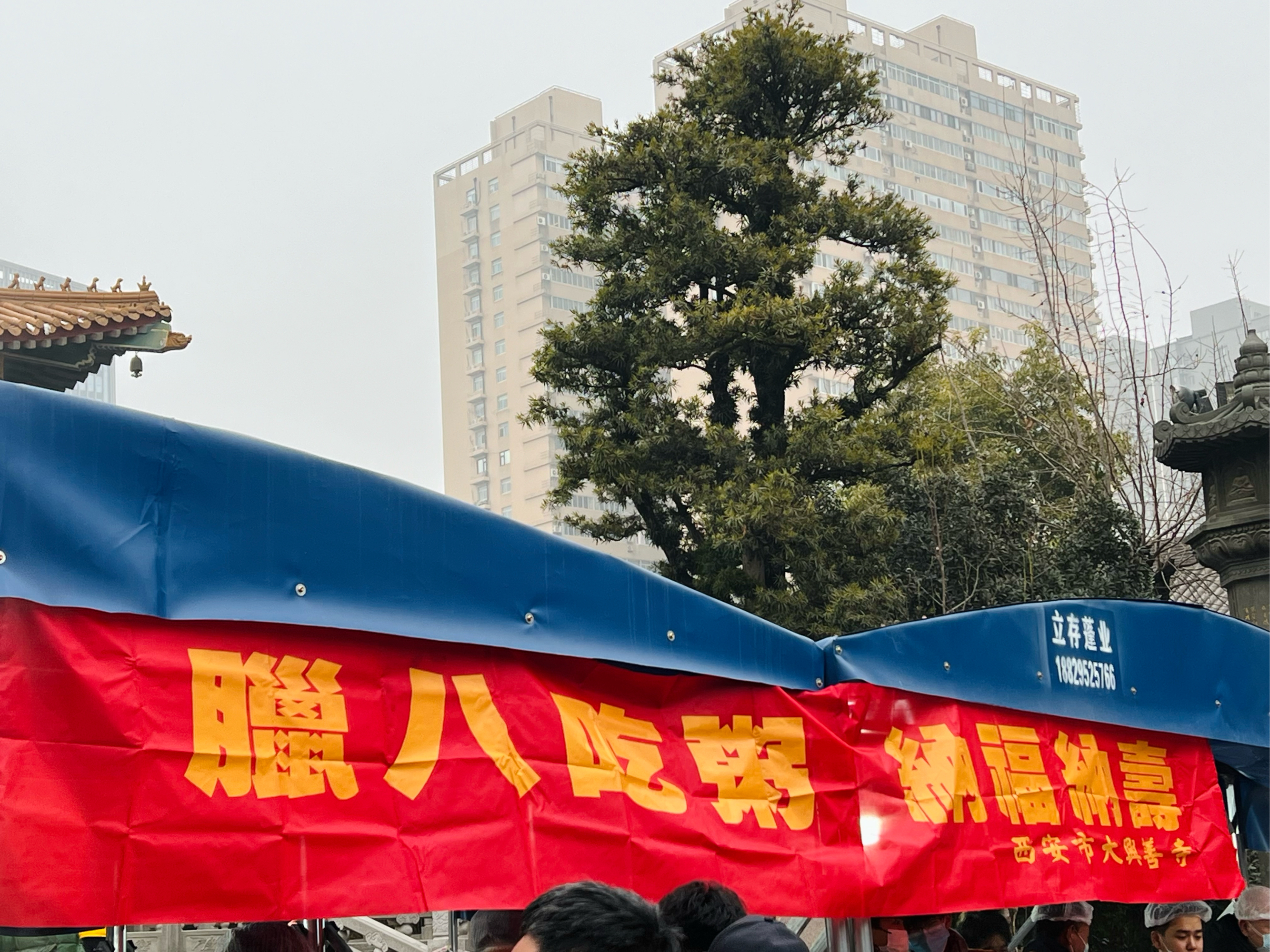 腊八粥喝起来了…… 腊月初八西安大兴善寺