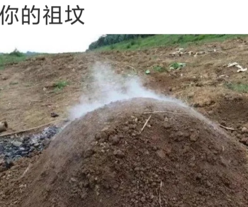 祖坟都冒青烟了吧[笑哭][笑哭][笑哭]