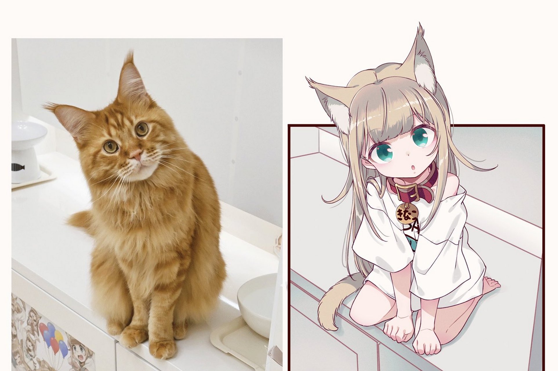 能看家真是了不起啊,40原老师的黄豆粉[三哈]#二次元