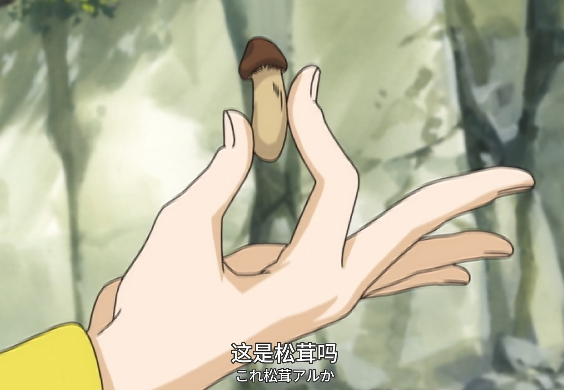 不愧是银魂,开车猝不及防[三哈]#二次元