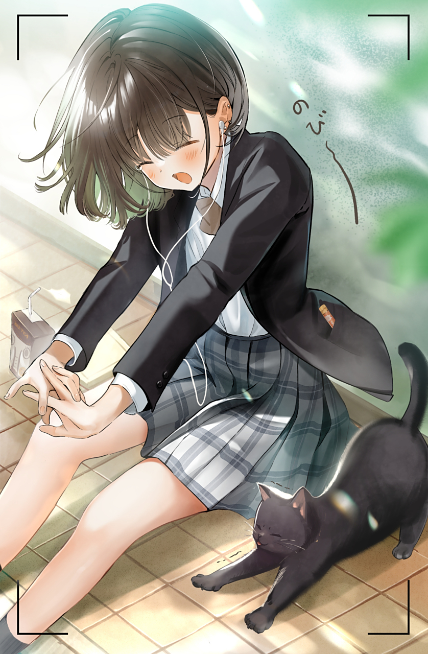 二次元# 和猫一起伸懒腰的摄影部前辈.