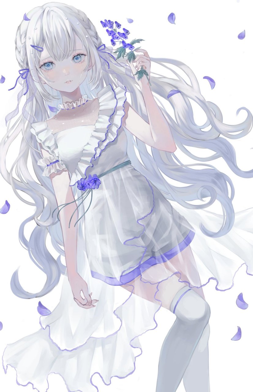 银发少女 画师:ぽわ