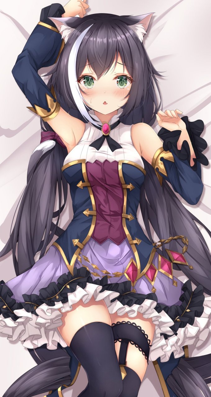 臭鼬娘 画师:るみこ