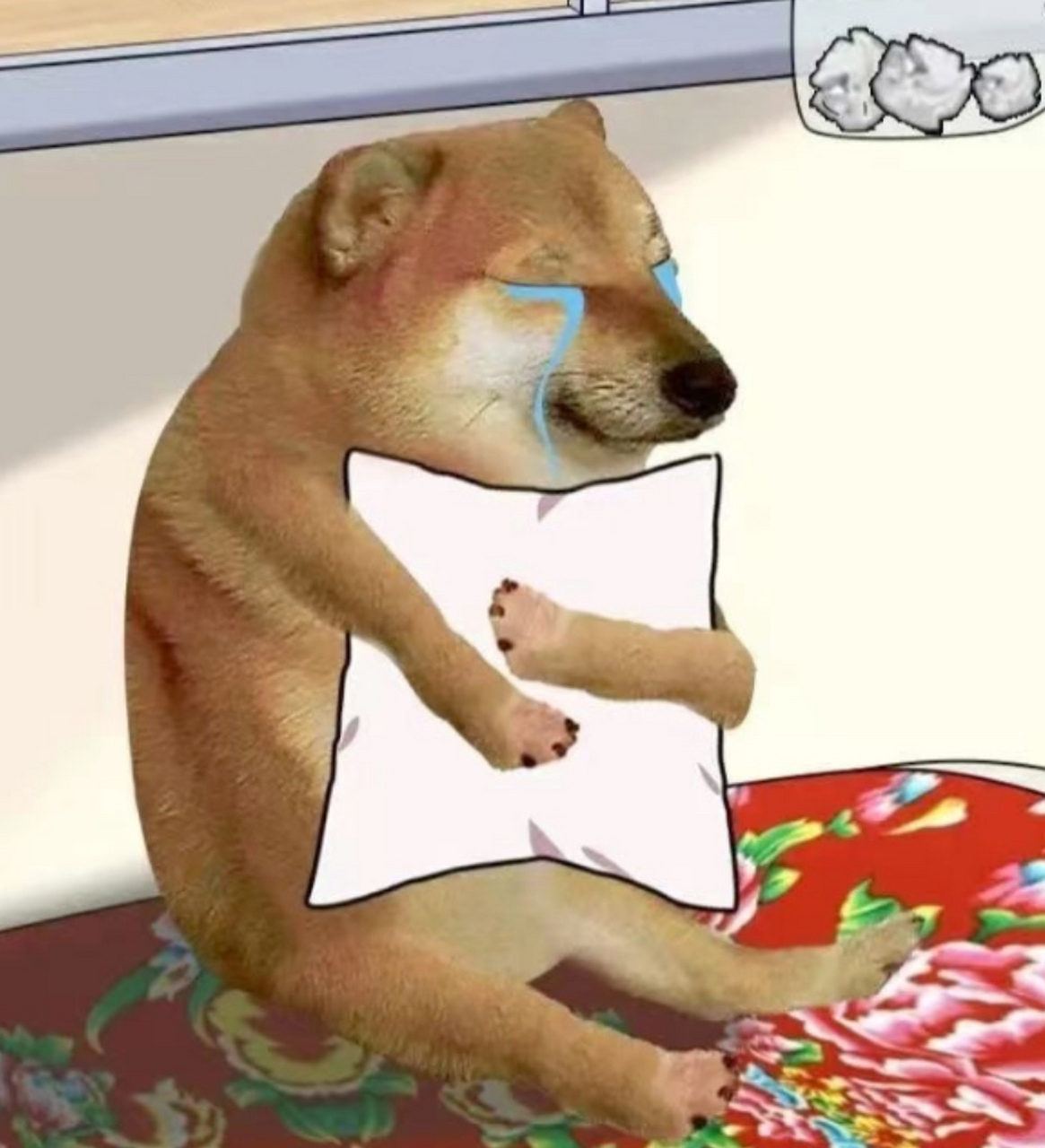 cheems去世了,安息吧,狗子