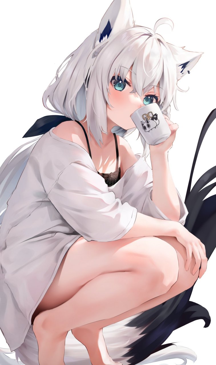 虚拟主播# 白上吹雪