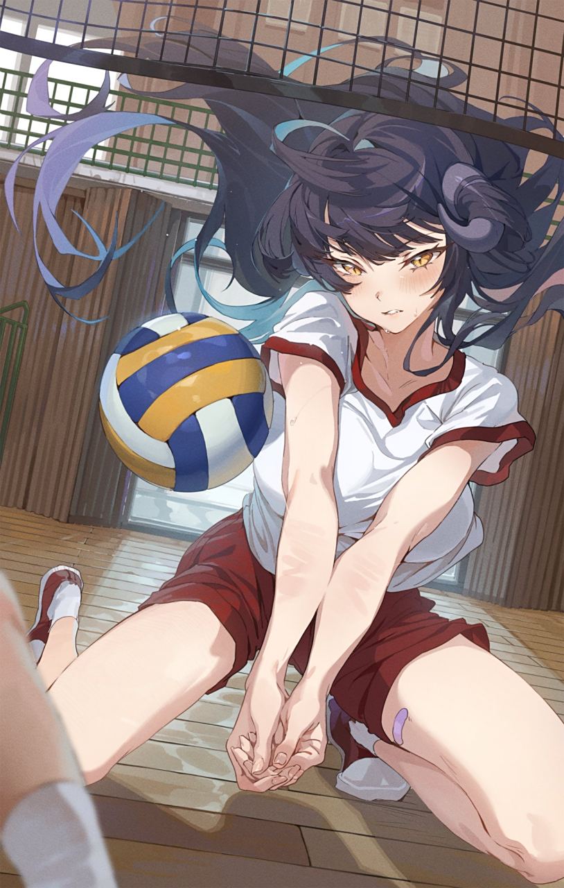 二次元# 打排球的少女[二哈]