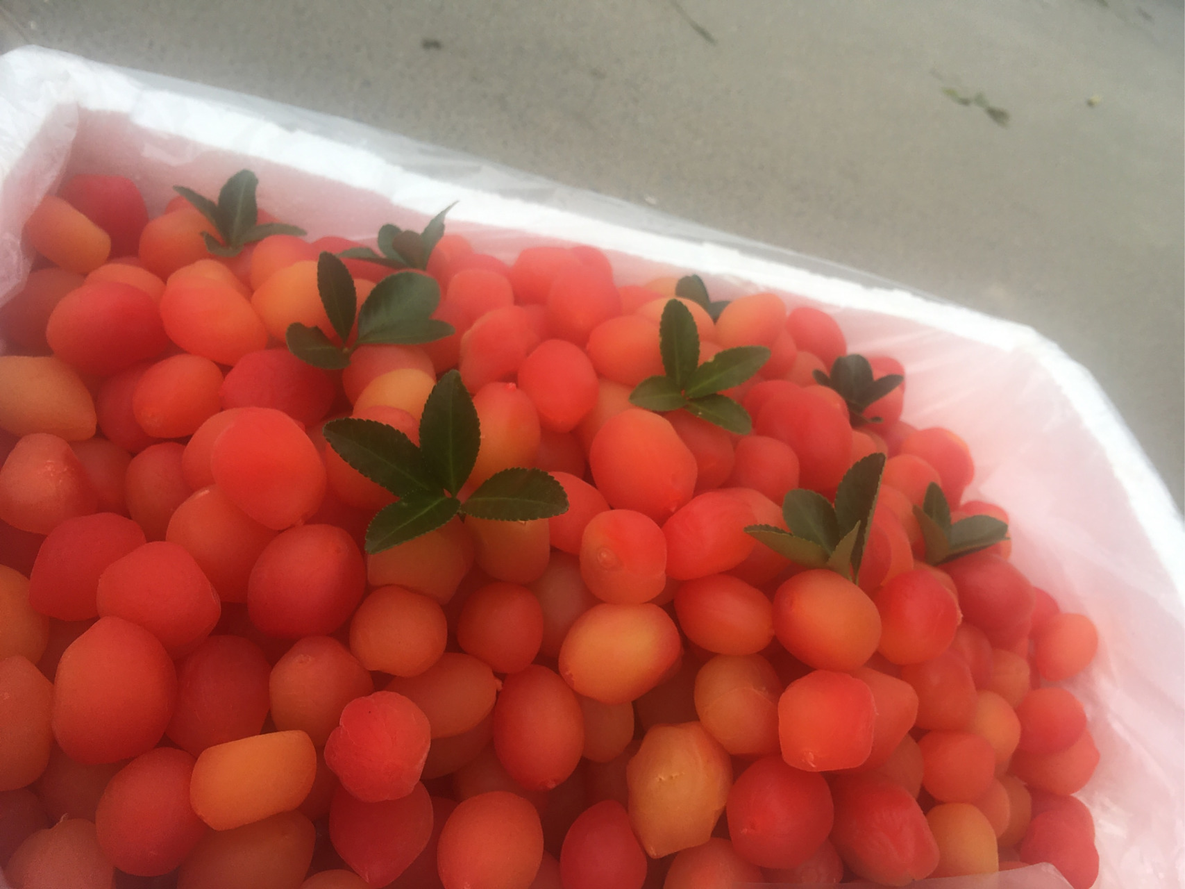 新疆火梅果,一种属于梅子品种的一种水果,主要清热去火,开胃消食,止咳