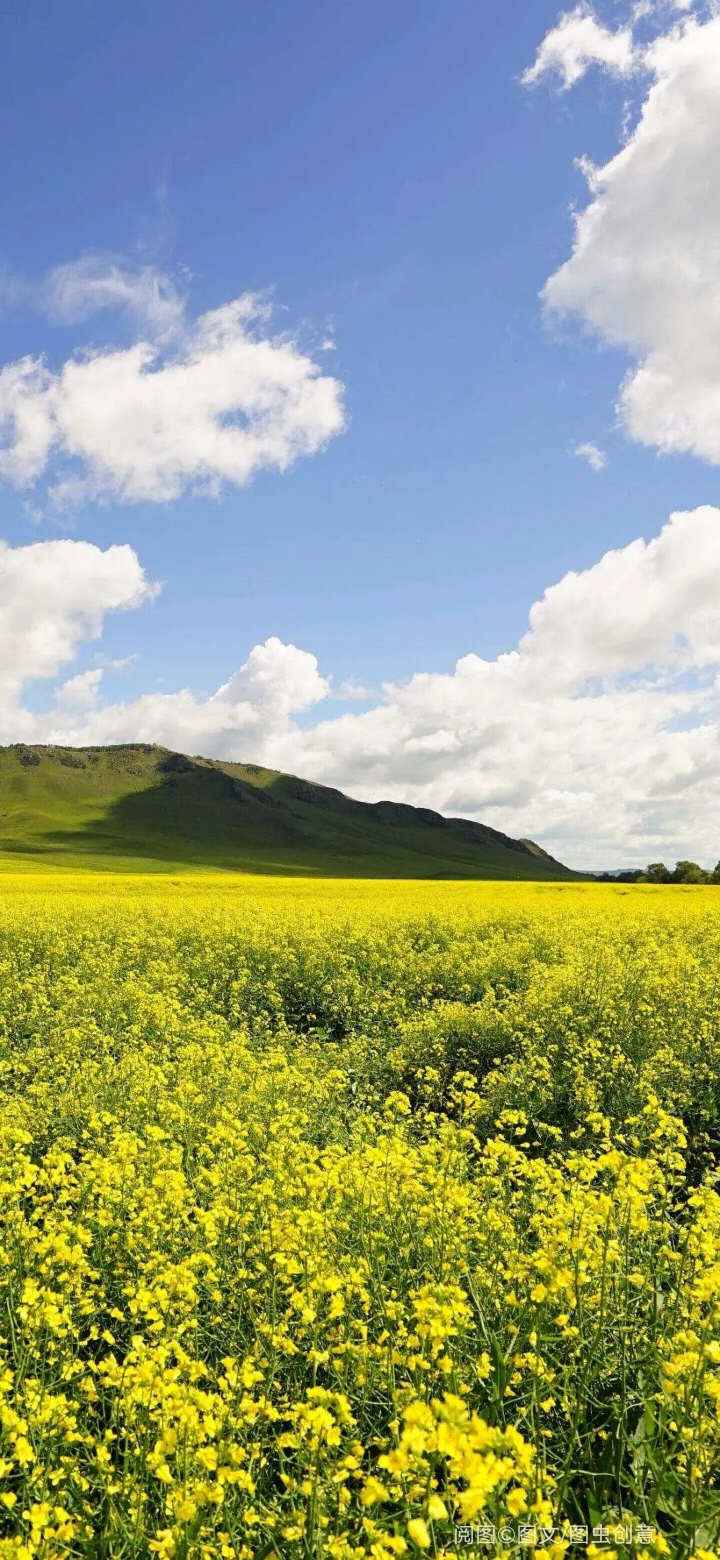 最近很火很治愈的14句话: 1,你活着的时候,没有几个人在观看,你死了