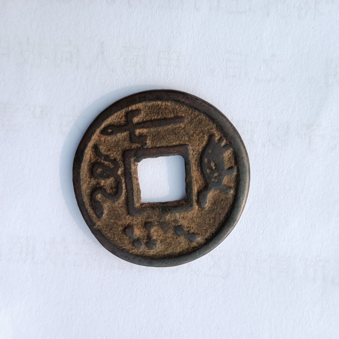 龟币(龟币多少钱一个)