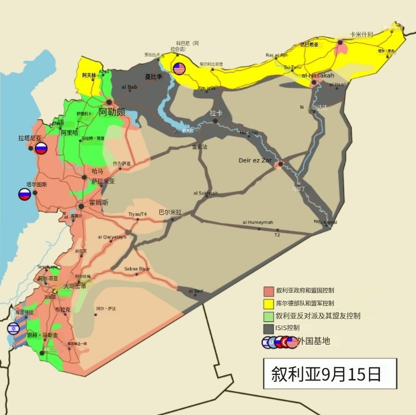 叙利亚人发现了一个严重问题:那就是只有巴沙尔一家解放了!