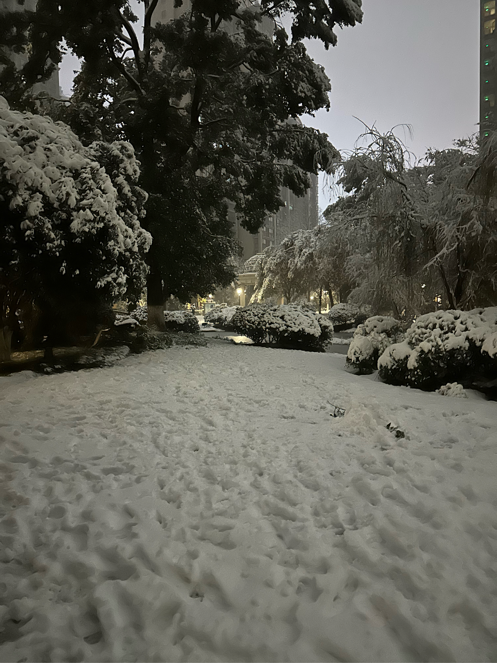 小区夜雪景也不错