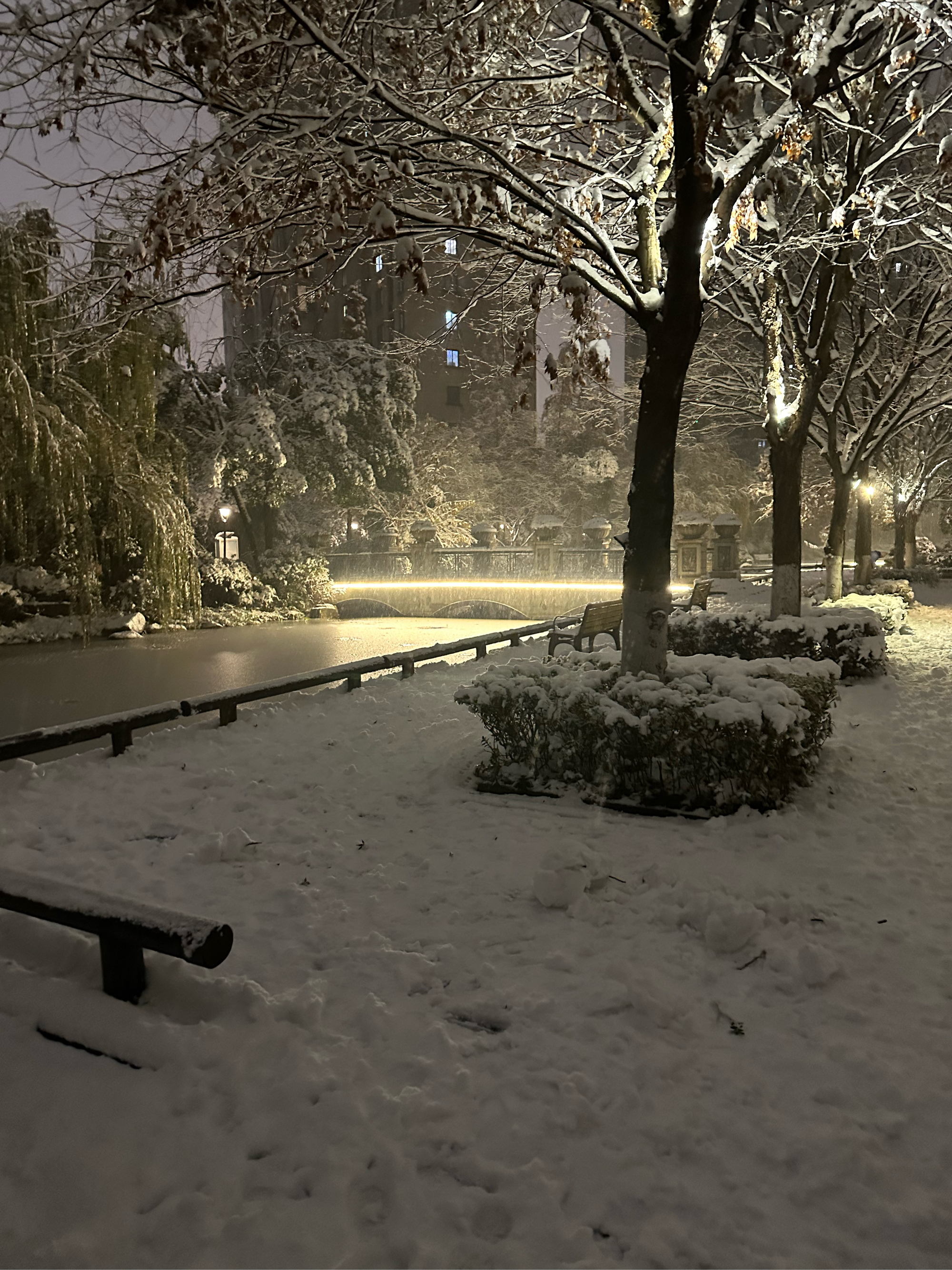 城市小区雪景图片