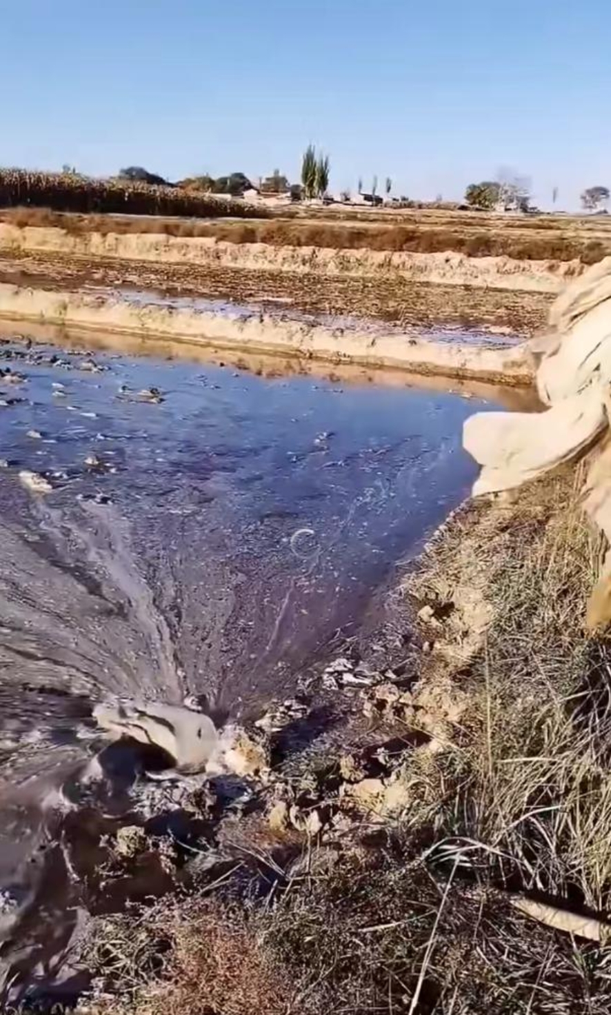 那地里的水田中竟然突然间就出现了一个旋涡,田里的水一股脑地都往那