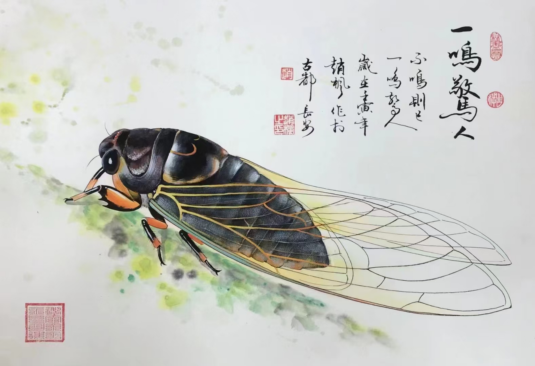 9815  05蝉翼展开,如同轻盈的舞者,在模糊的绿色背景中翩翩起舞