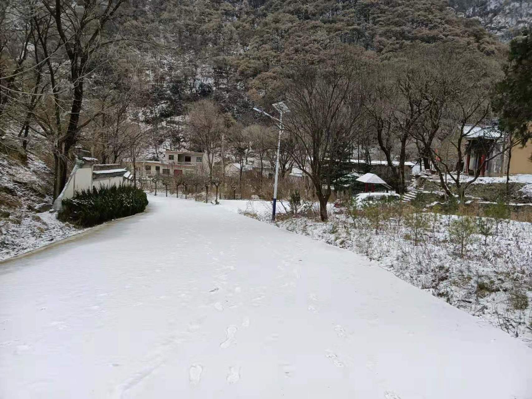 秦岭终南山又下雪了,气温骤降,晚上一位住山的朋友说请我吃饭,我问他