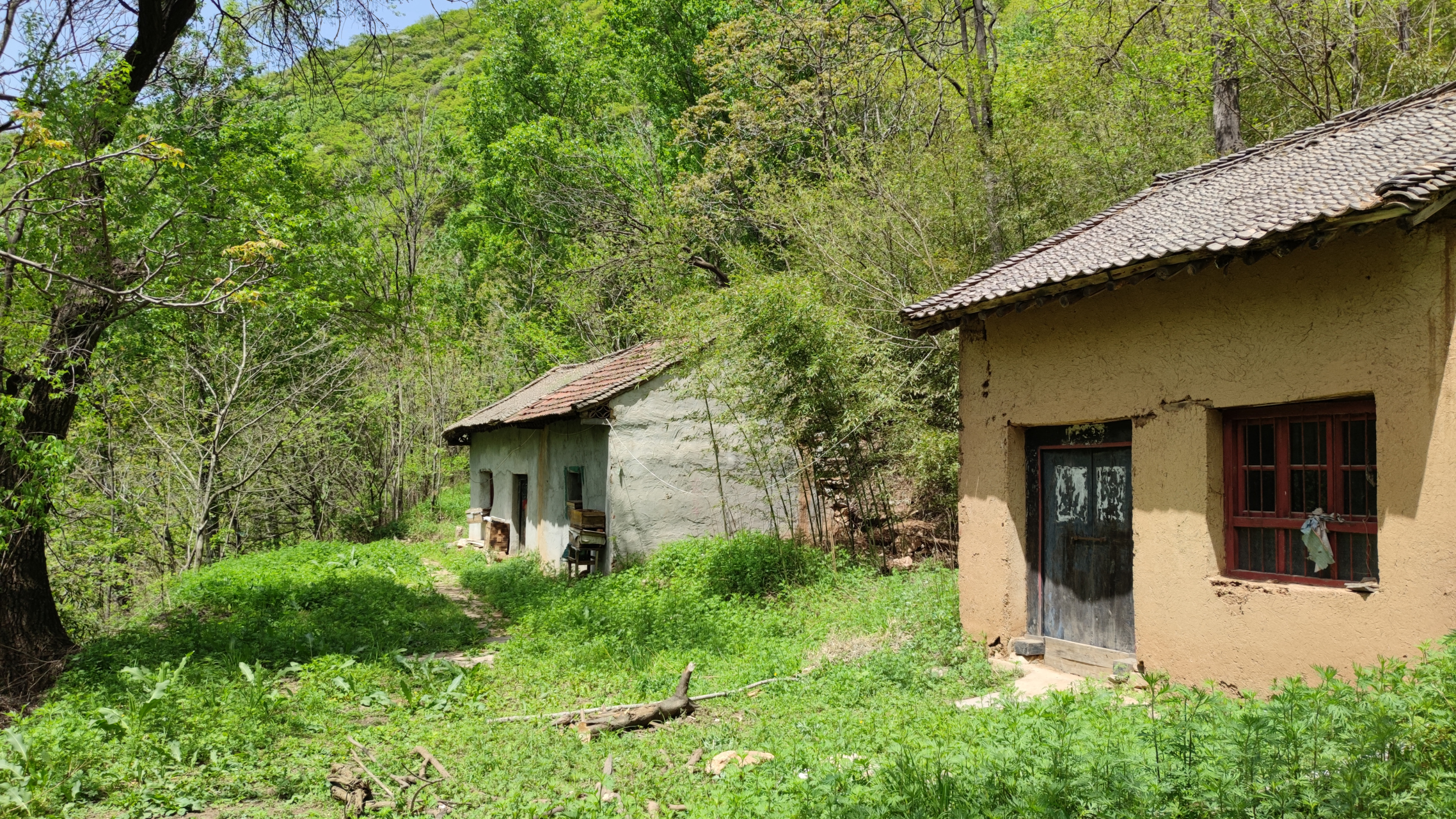 我是本地分享家# 终南山独门独户院子,位置绝佳,视野开阔距离马路300