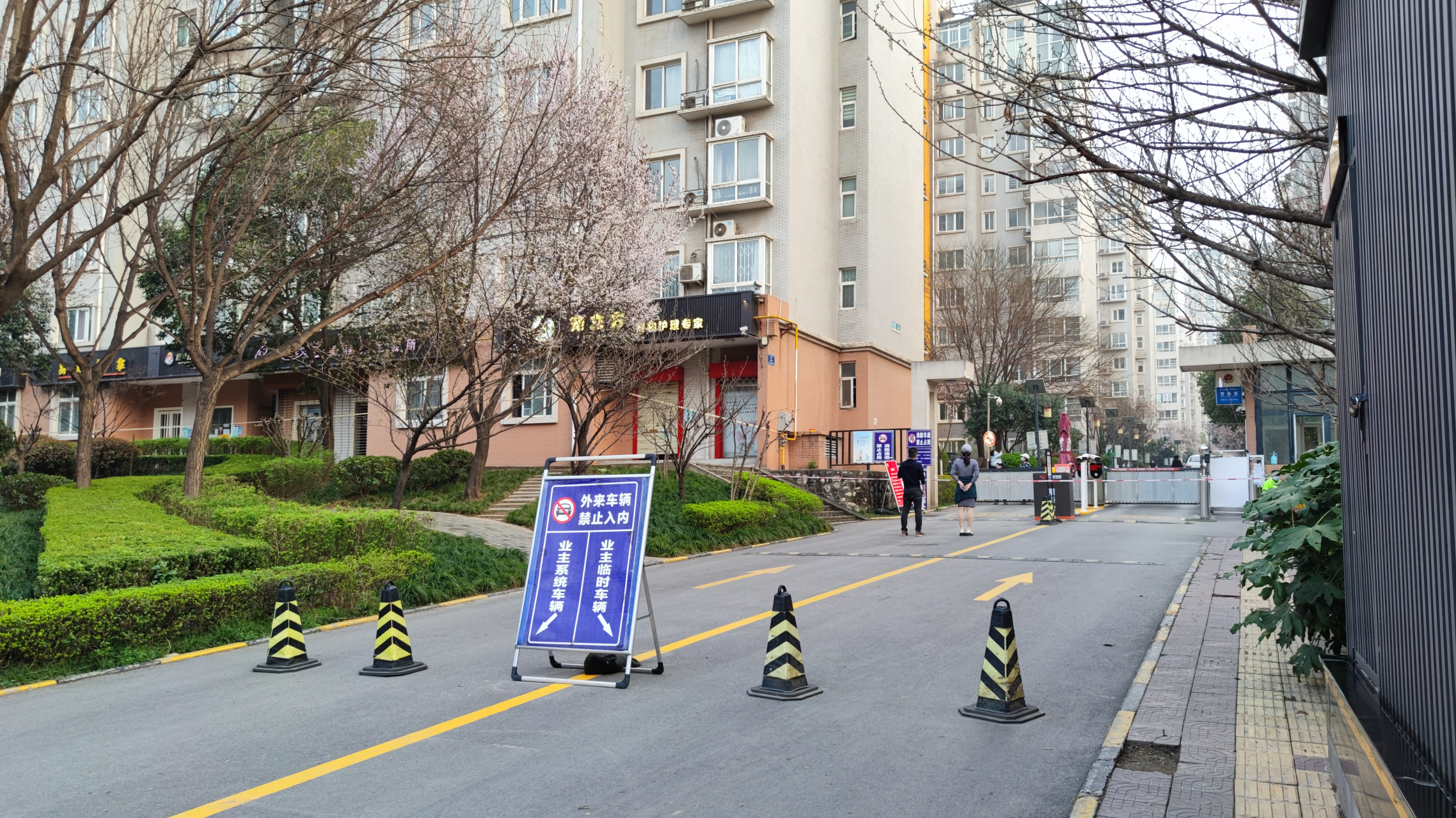 昨天下午去西安曲江南湖散步,路过曲江翠竹园小区,发现两位老人抱着