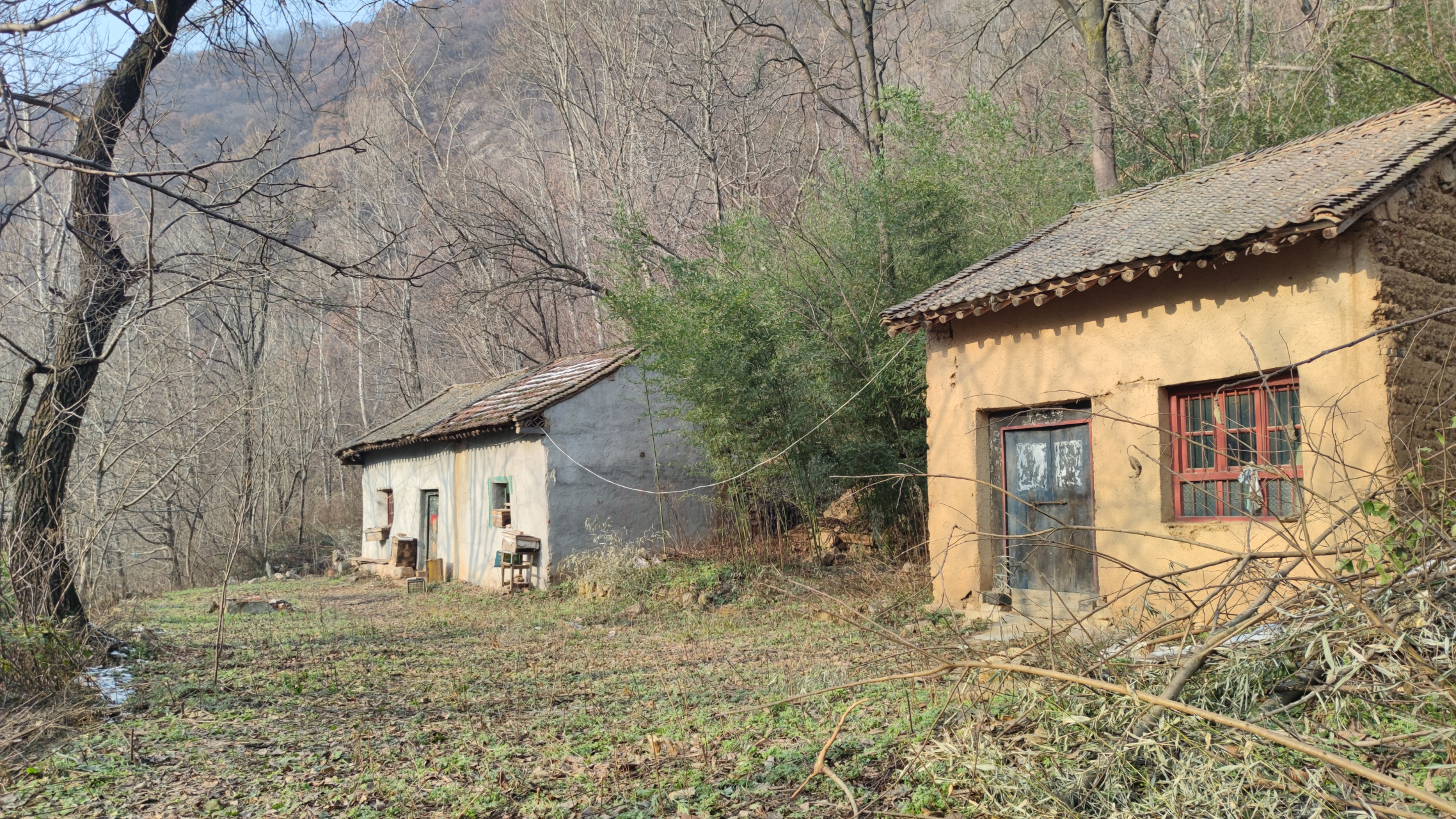 67       终南山老乡闲置院子可免费居住几个月,独门独院旁边有