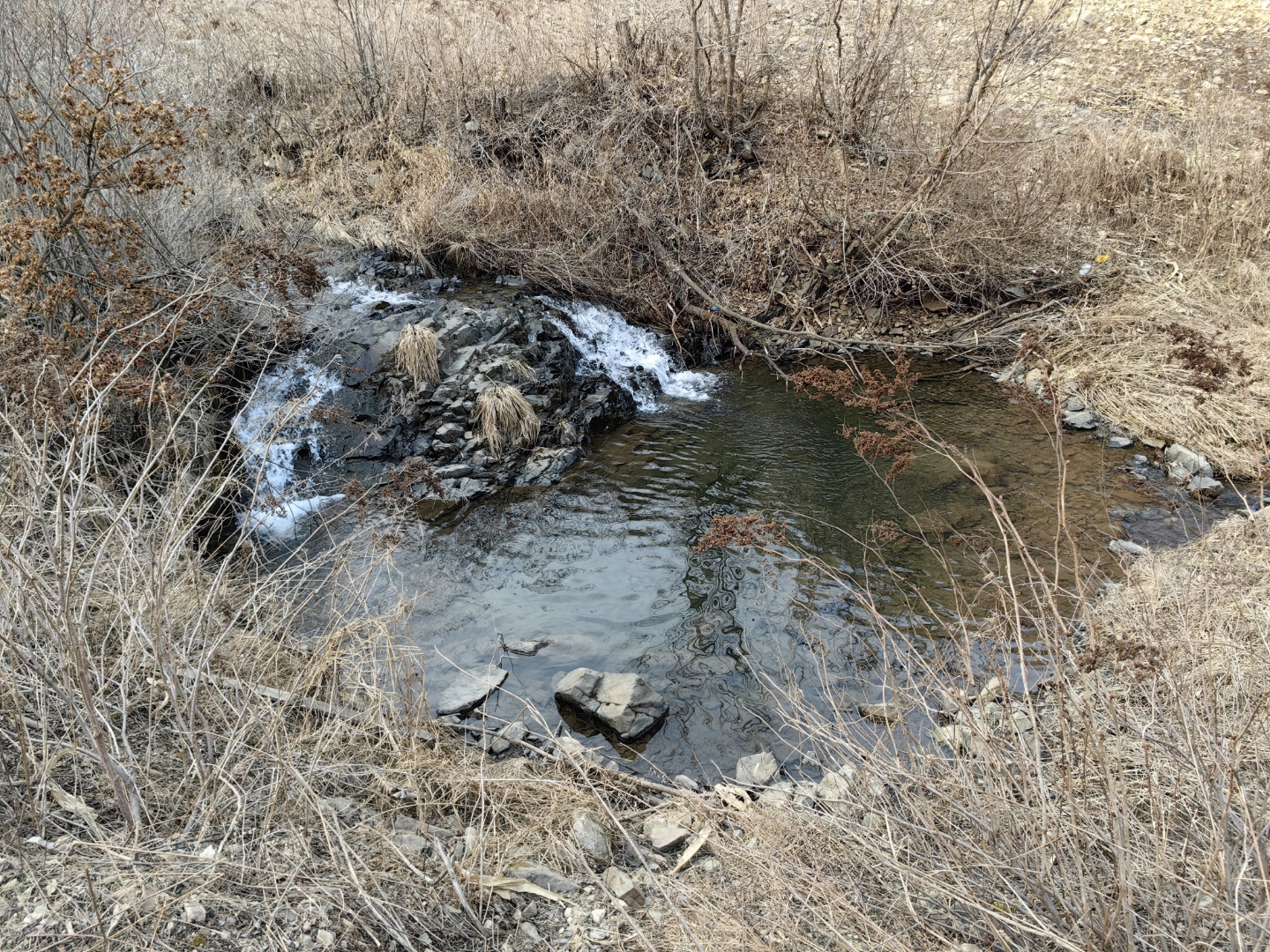听到这个问题之后,我的第一反应是你有病吧!