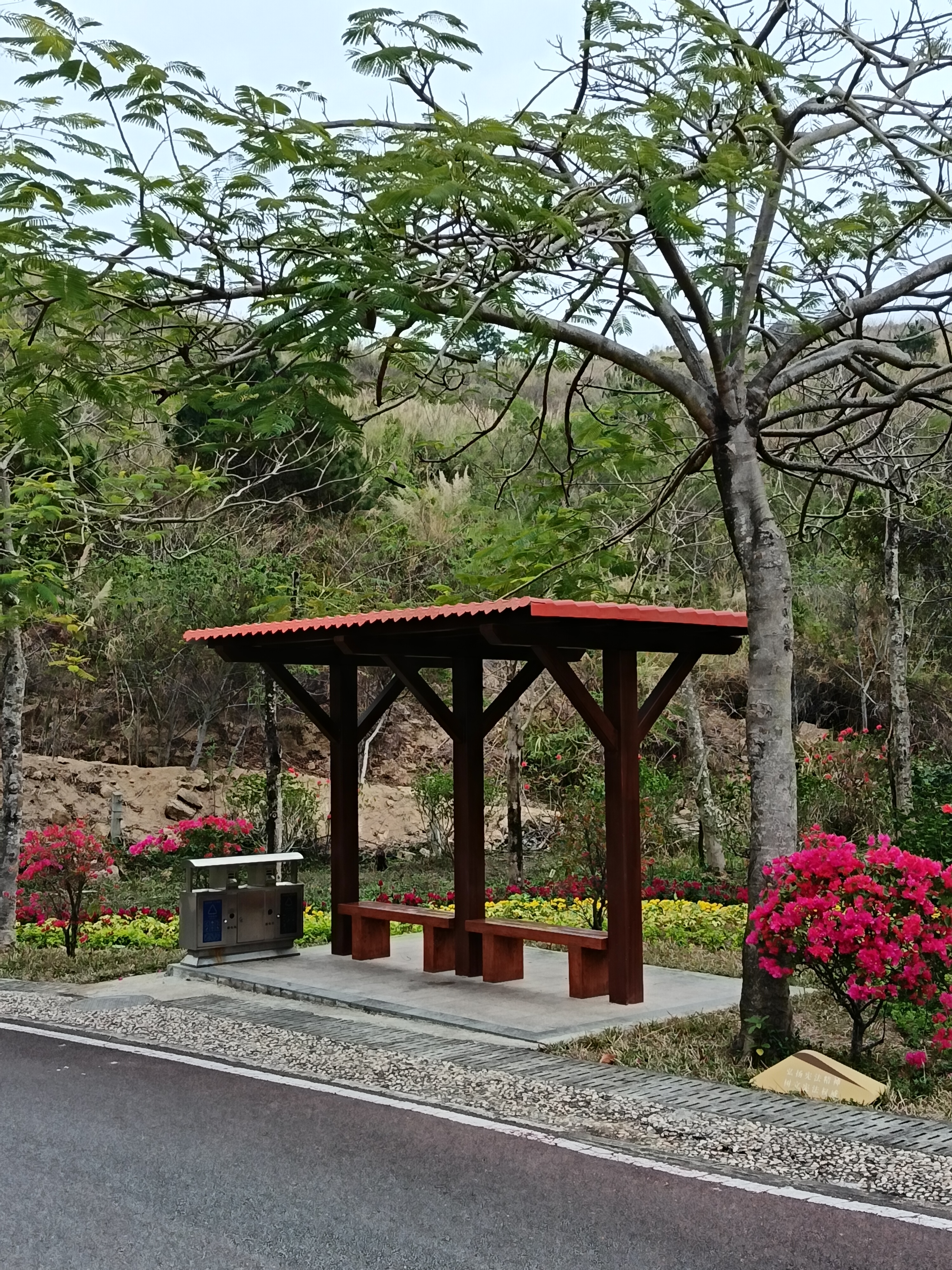 面朝大海远无边,春暖花开又一年