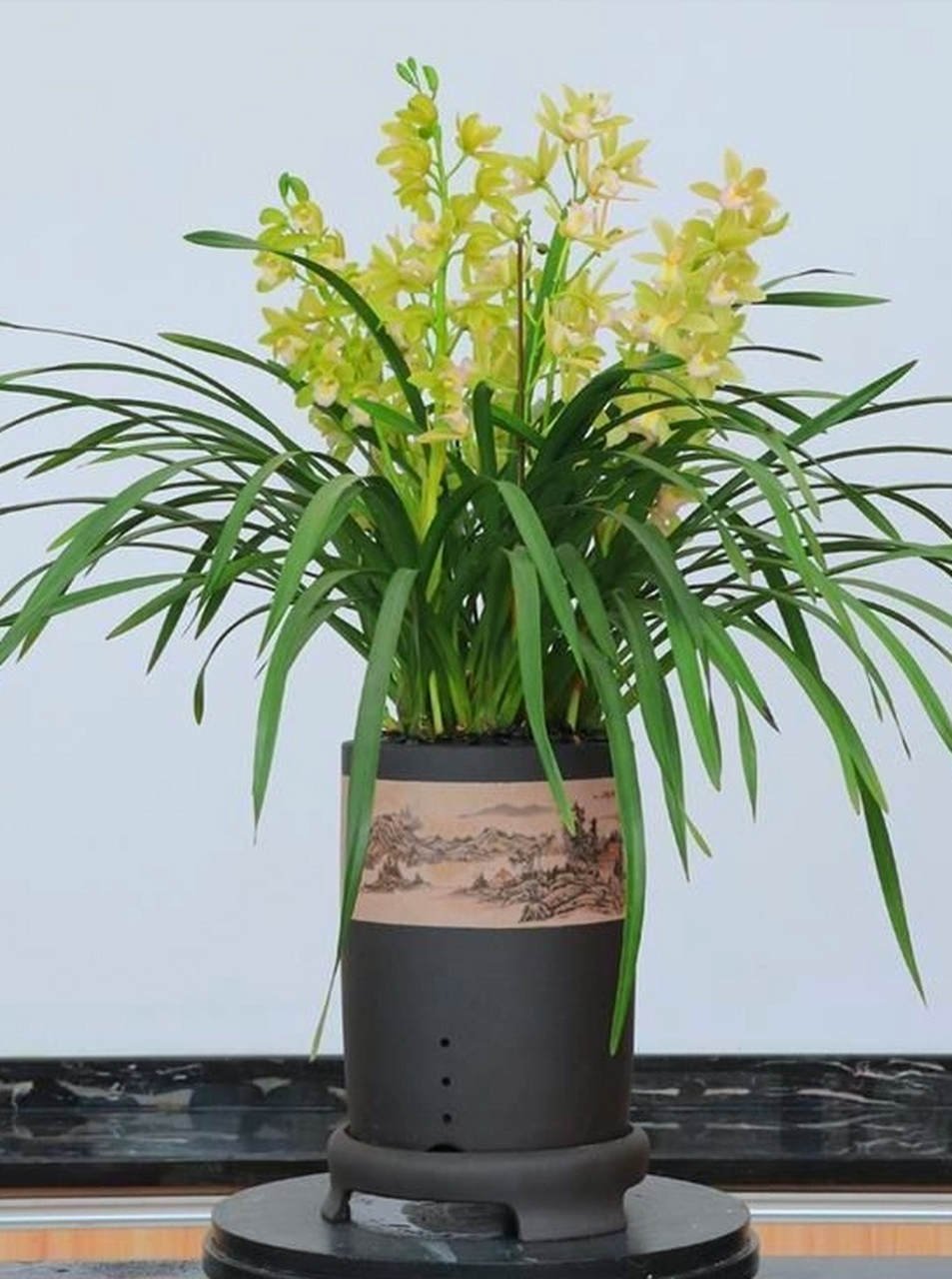 白玉香兰,晶莹剔透,或立或卧或挂,平添节日氛围,舒心养眼!