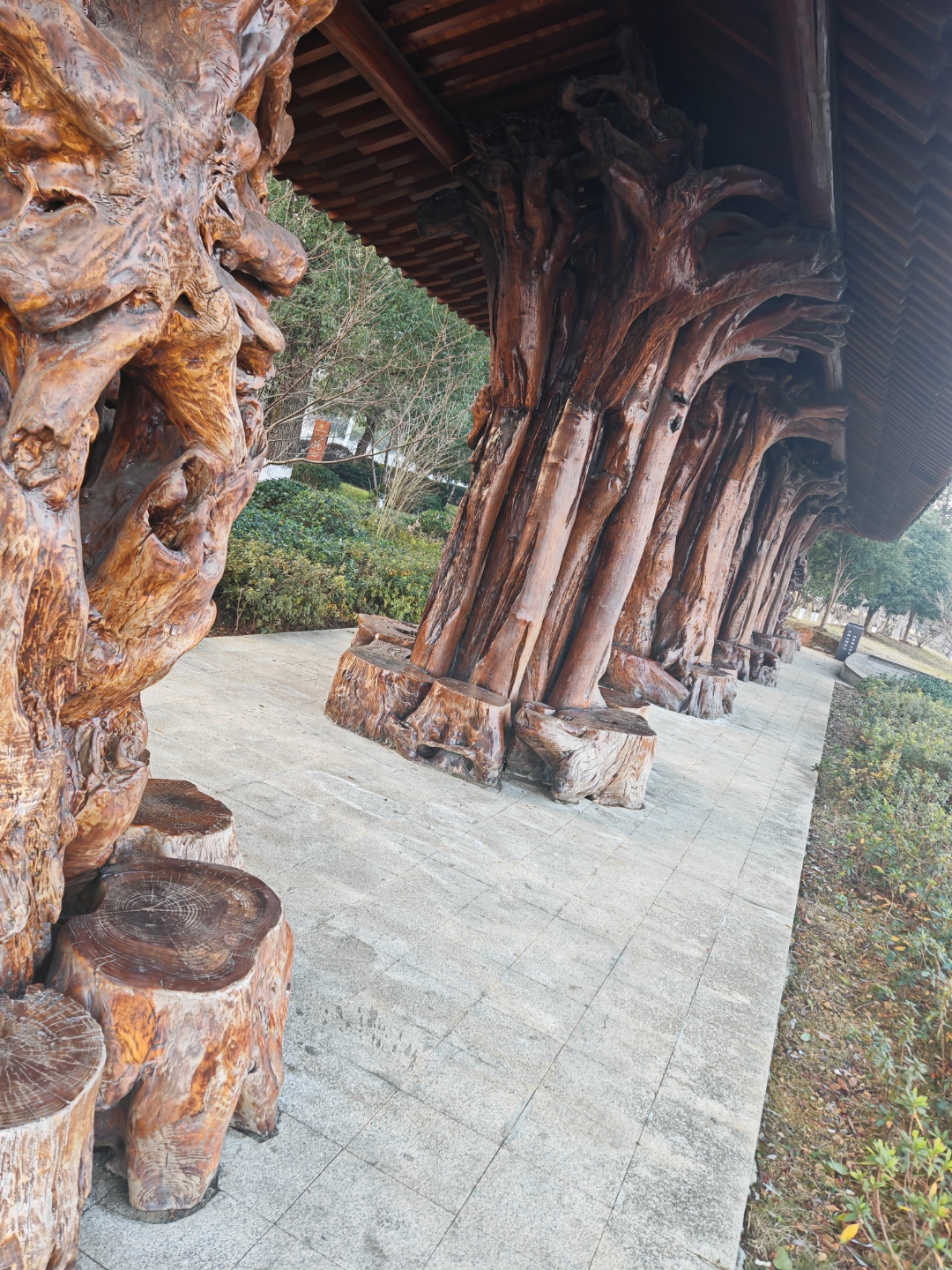 祝大家新年快乐!新年更有新气象!