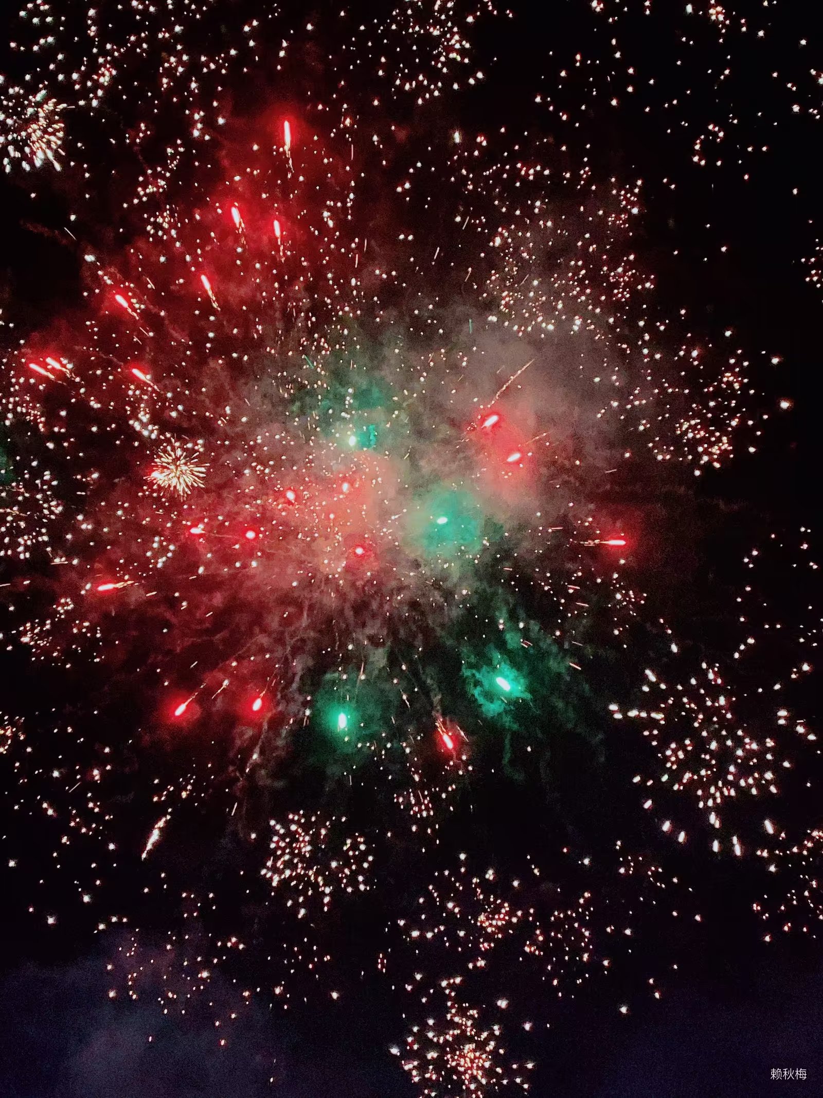 烟花的魅力所在 短暂绚丽唯美 如同站在星空下人 天上天间