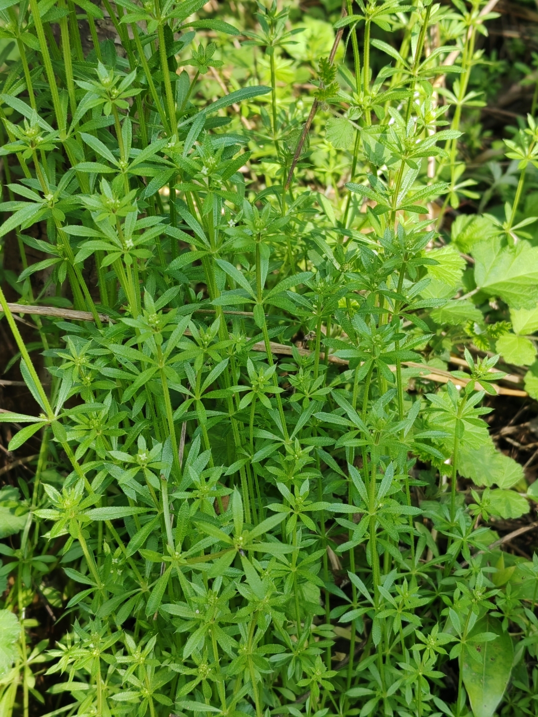 不被定义的她#她是我以前的老板,一位有爱心和孝