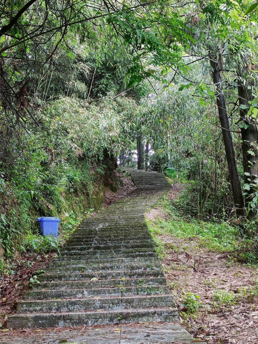 湘西南华山图片