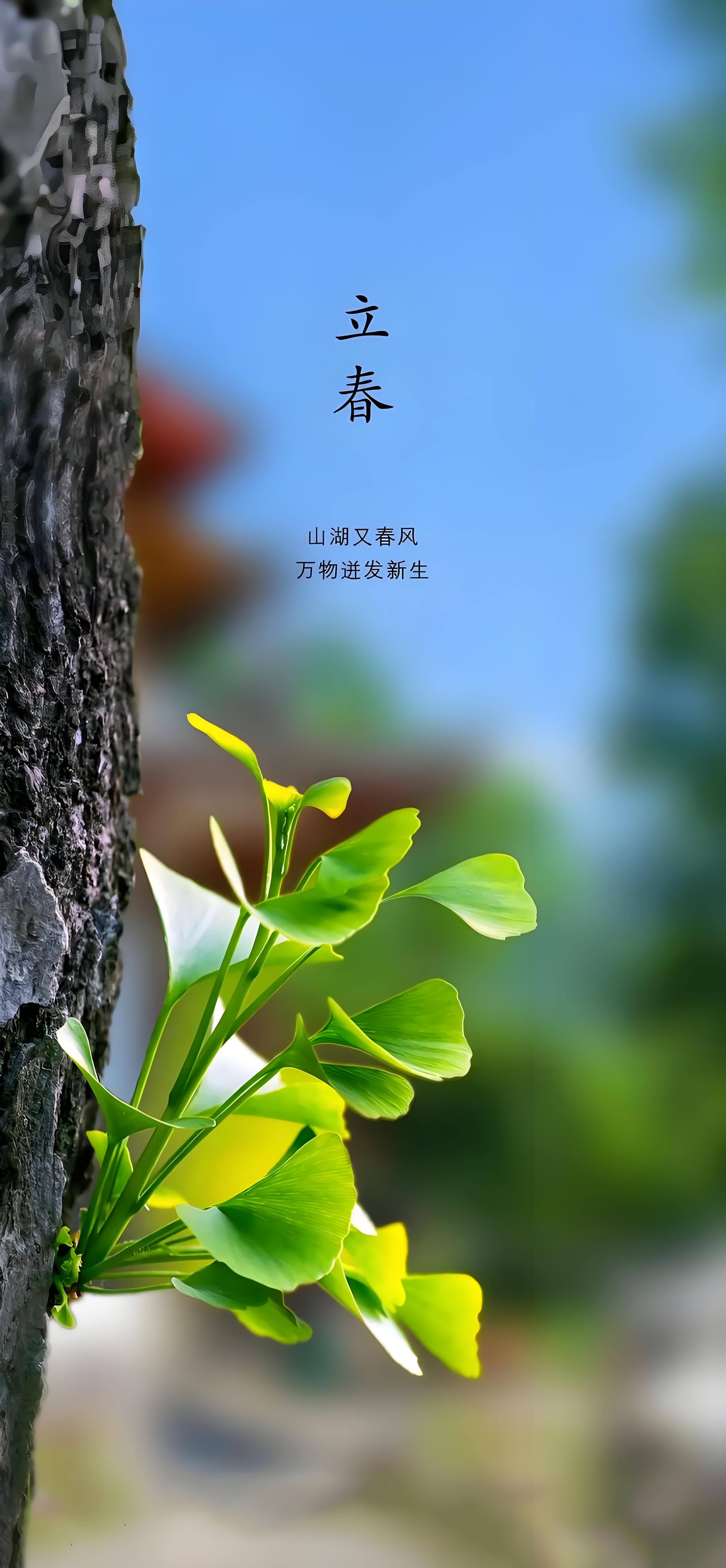 探春令-仲春吟 宋徽宗体 作者:宜章