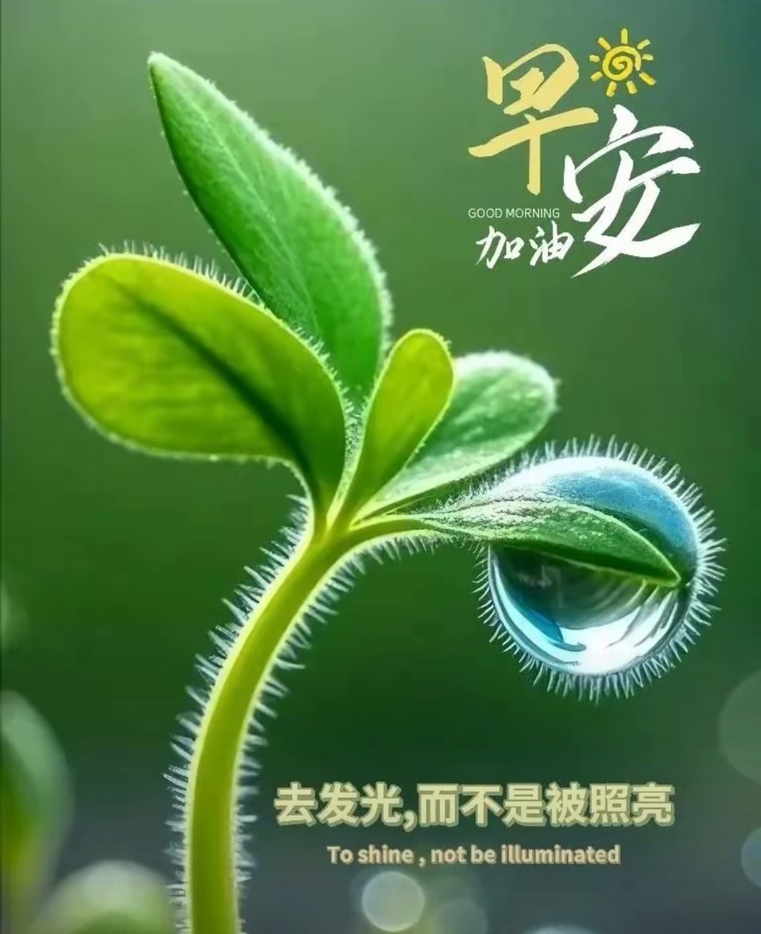 加油!  让我们成为自己的光,照亮前行的路,每一天都充满希望与能量