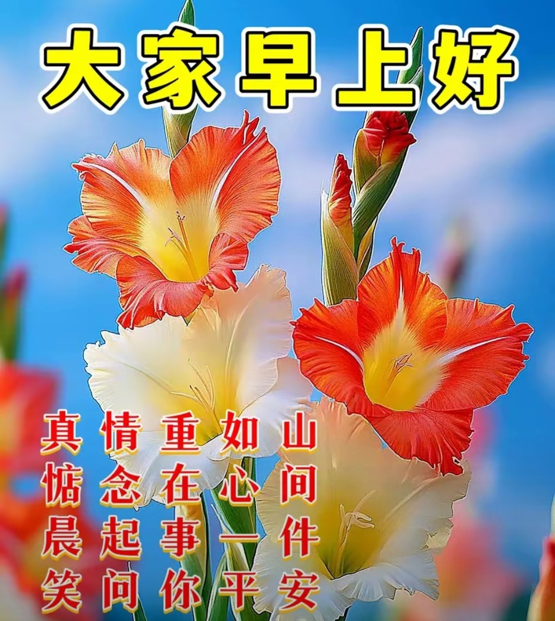 大家早上好,间件,笑问你平安