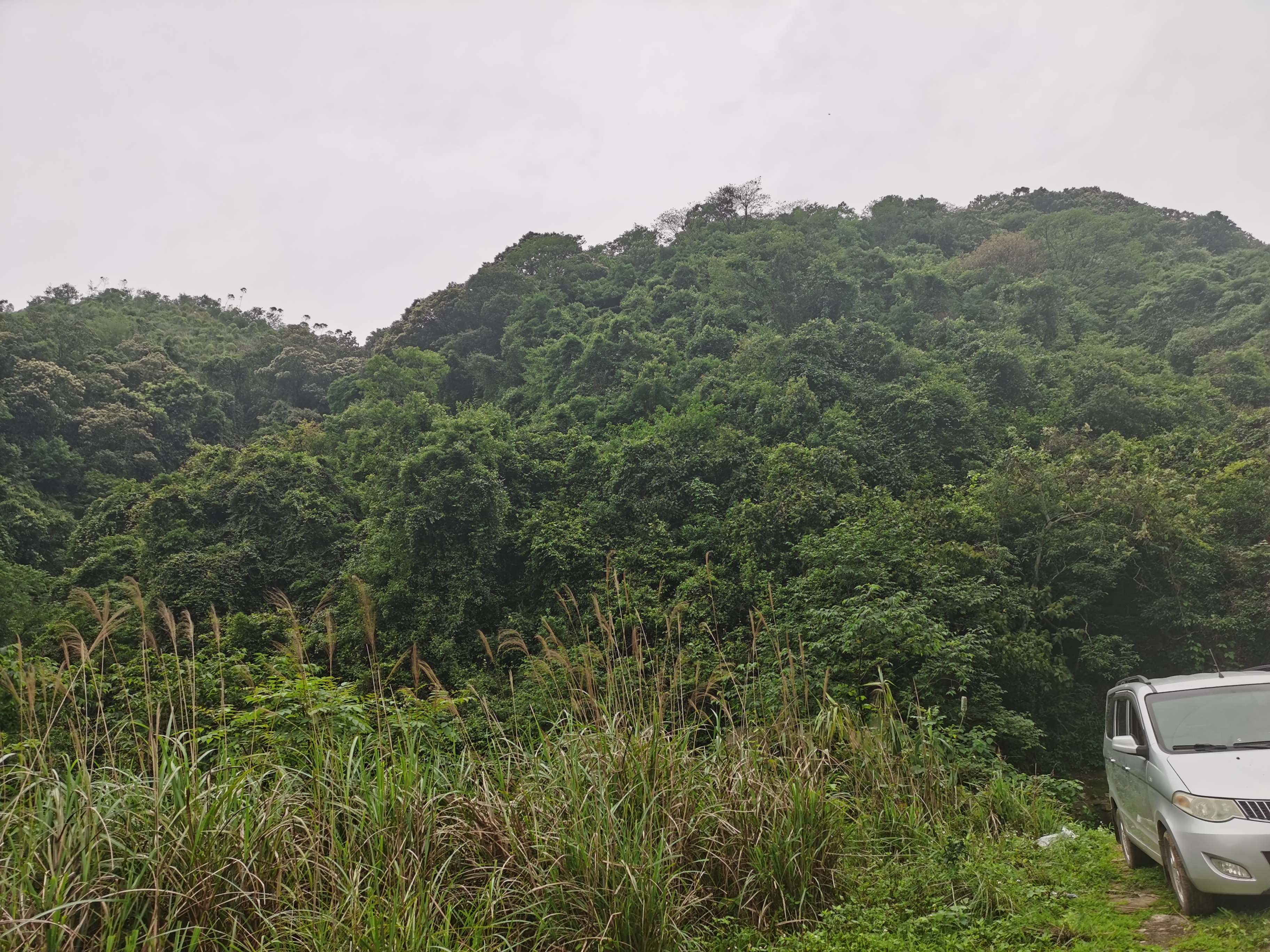 广西玉林寒山岭图片