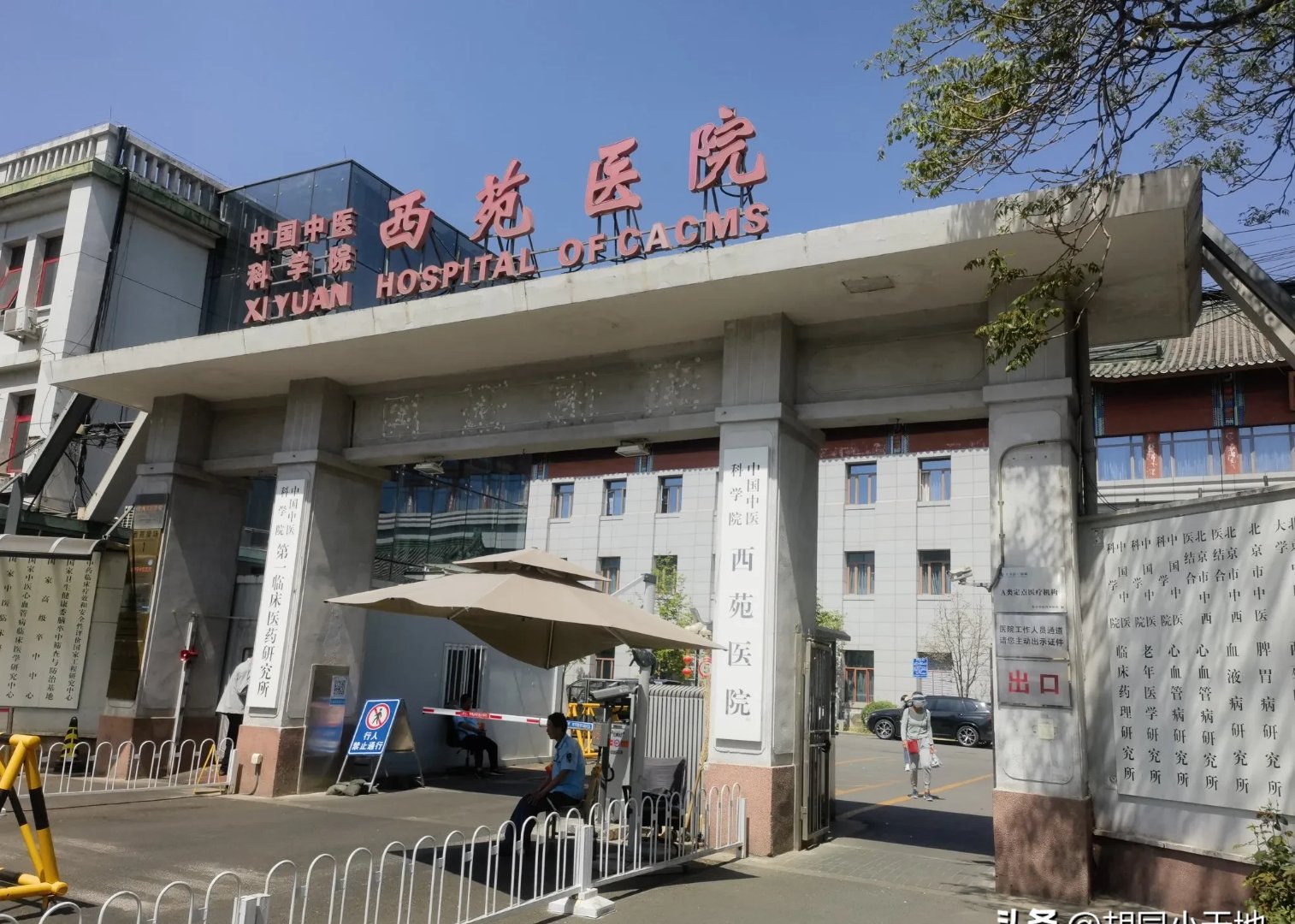 北京西苑中医院全程透明收费靠谱的代挂号贩子的简单介绍