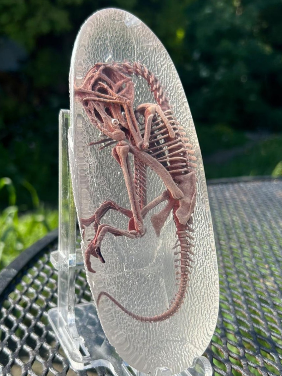 我是从未见过,各位朋友,你们之中有谁知道这是什么东西吗?