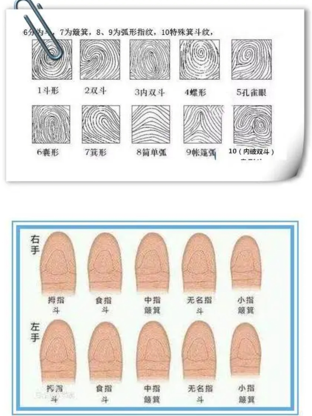 寻找手上十个斗或者十个簸箕的人,欢迎大家来评论,看看有多少?