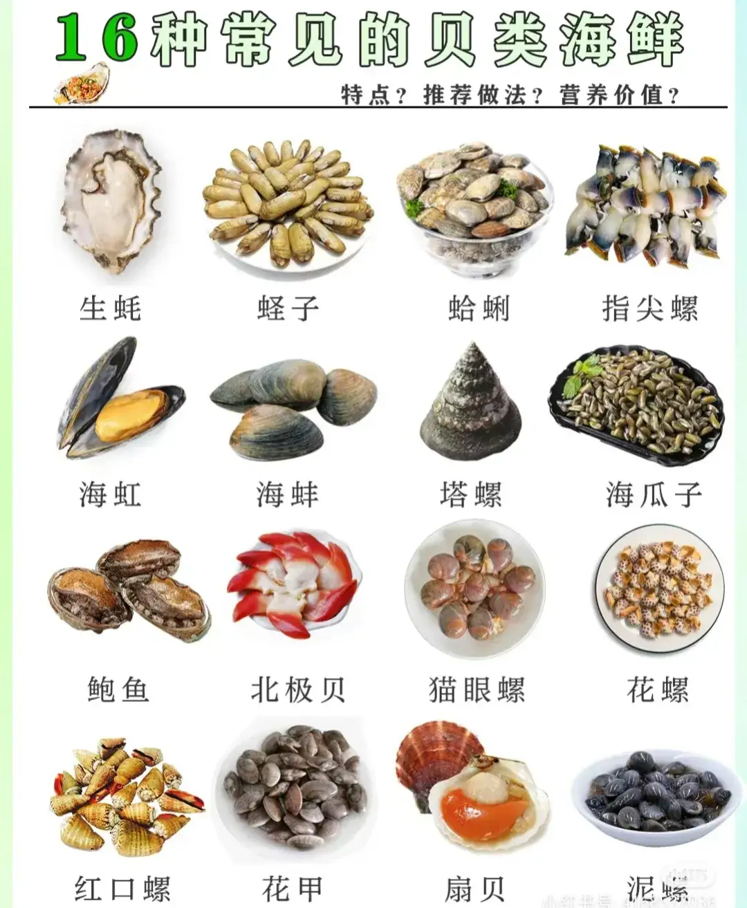 常见海鲜种类名称图片(常见海鲜种类名称图片长条形状大全图解) 常见海鲜种类名称图片(常见海鲜种类名称图片长条形状大全图解)