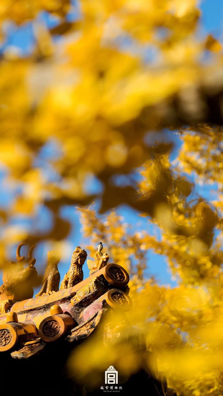 此时故宫正是良辰美景赏景最佳时.