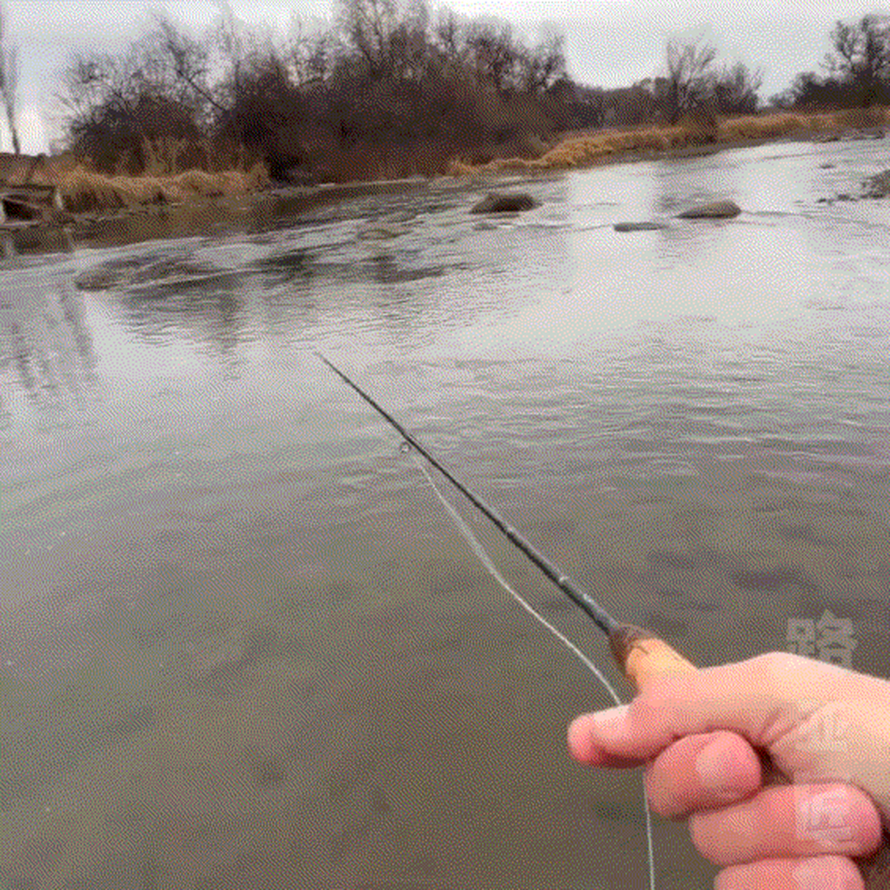 少见的第一视角～飞蝇钓#路亚匠# #钓鱼# #飞蝇钓