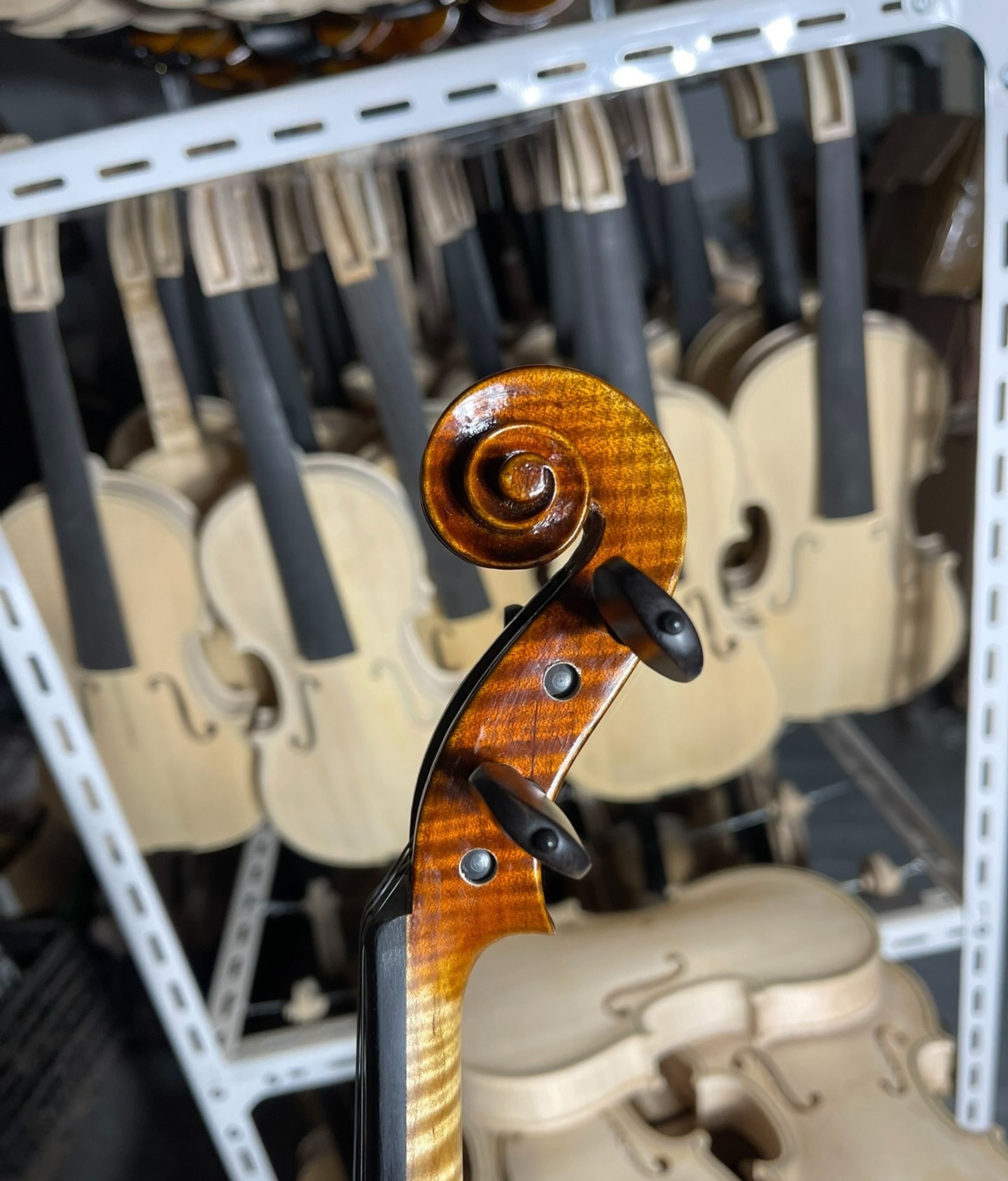 小提琴(4/4),个人工作室手工制作八年自然风干整板四川枫木背板,侧板