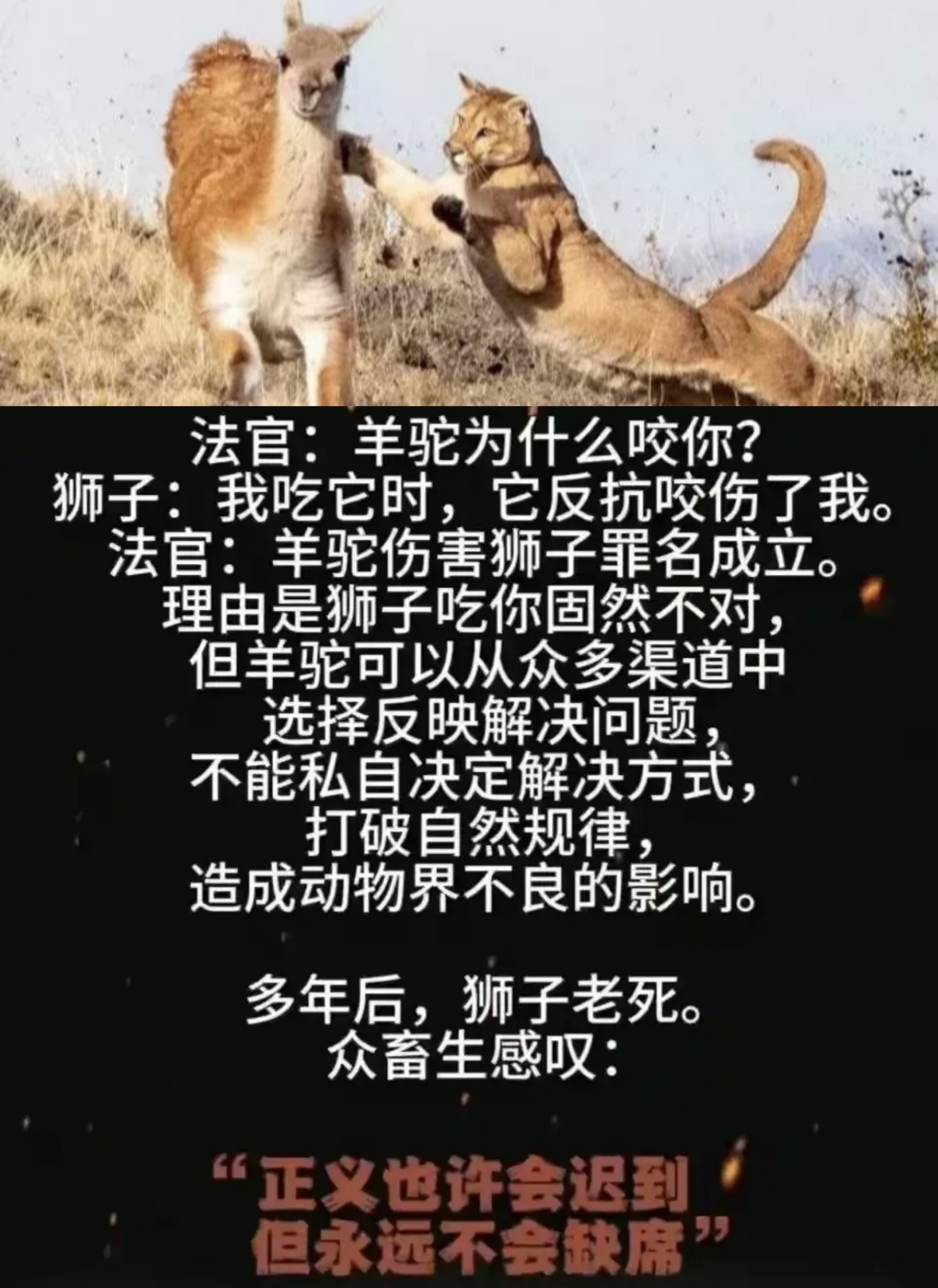 亡在旦夕比喻什么动物